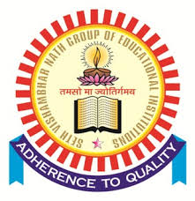 SETH VISHAMBHAR NATH INSTITUTE OF MANAGEMENT STUDIES AND RESEARCH-logo